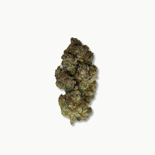 Indico - Clementine - Pure Nectar - 1