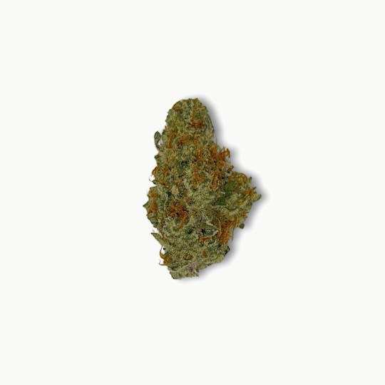 Indico - Dubble Tropicana - Pure Nectar - 1