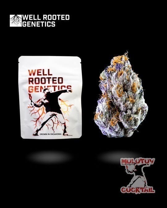 Well Rooted Genetics - Well Rooted Genetics | Molotov Cocktail | Big Buds | 3.5g - 1