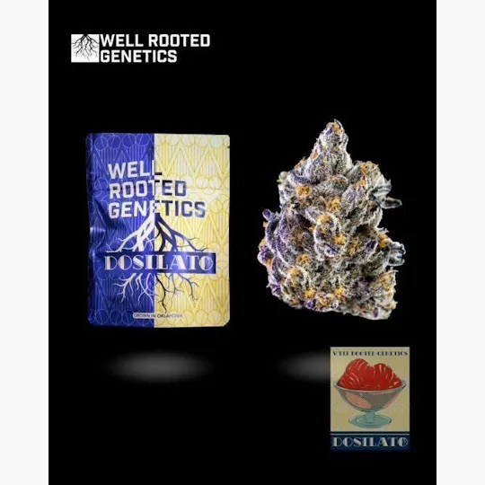 Well Rooted Genetics - Well Rooted Genetics | Dosilato | Big Buds | 3.5g - 1