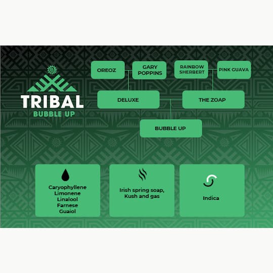 Tribal - Bubble Up Full Spectrum Extract - 1