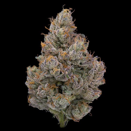 UpNorth - Jungle Juice - 3.5g - 1