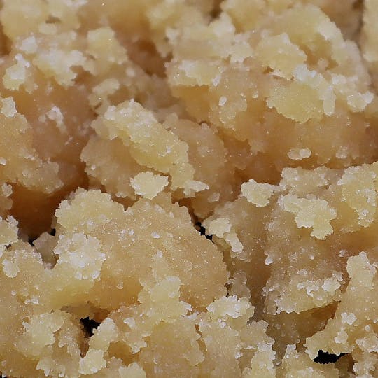 Pharmicated - PhD Concentrate 1 gram - Mochi Gelato Sugar - 1