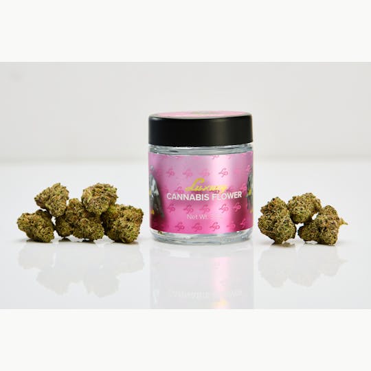 LP Exotics - LP Exotics Dutch Treat Haze 3.5g Flower - 1