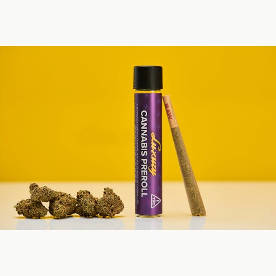 LP Exotics - LP Exotics First Class Funk 1g Preroll - 1