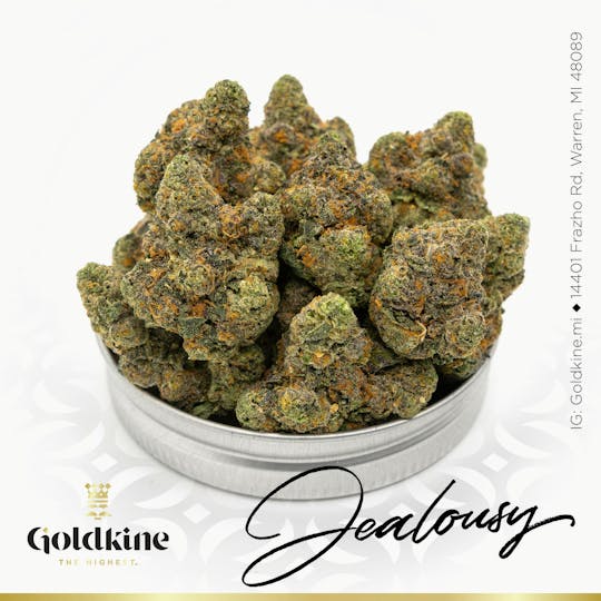 Goldkine - Goldkine Flower "Bigs" | Jealousy - 1