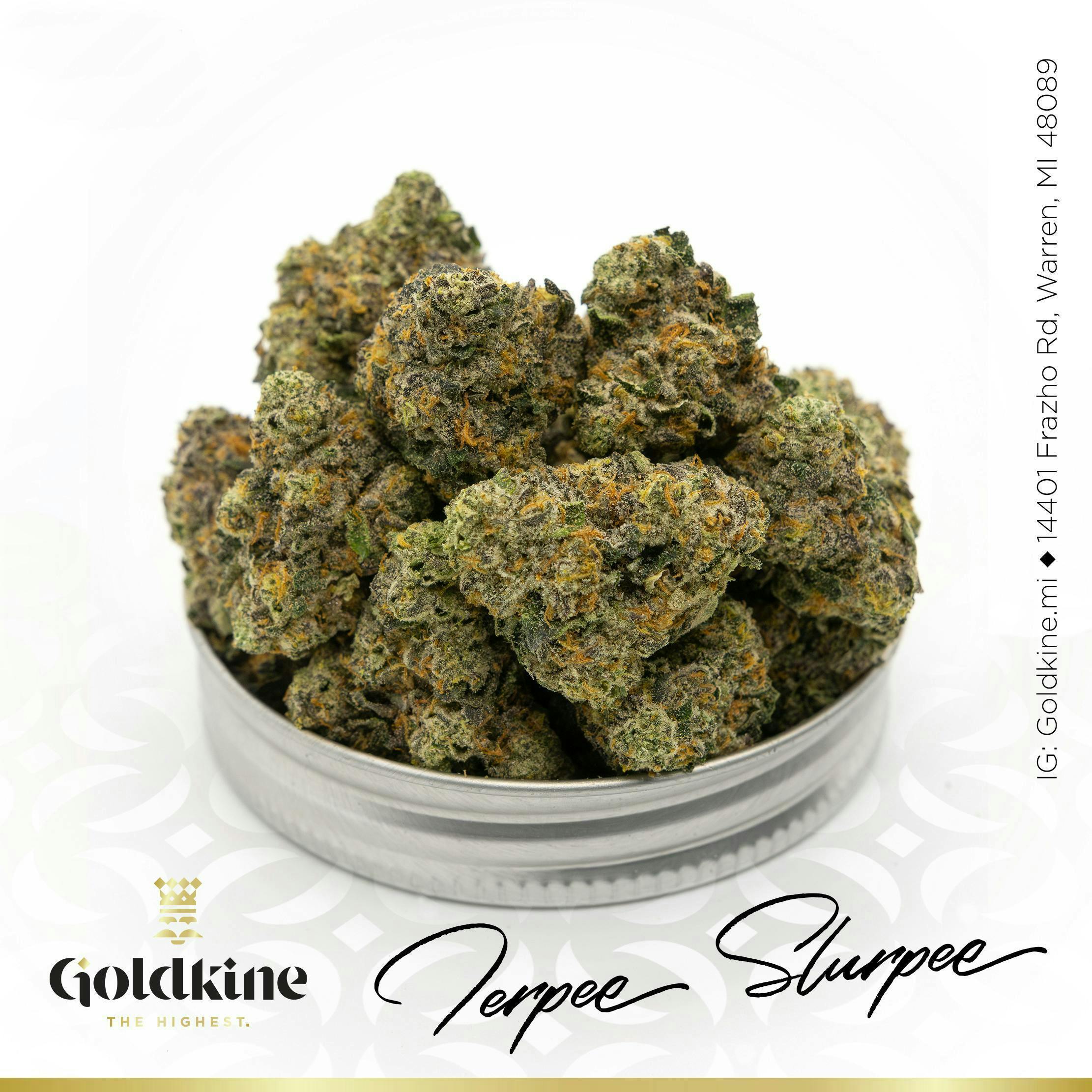 Goldkine - Goldkine Flower "Bigs" | Turpee Slurpee - 1