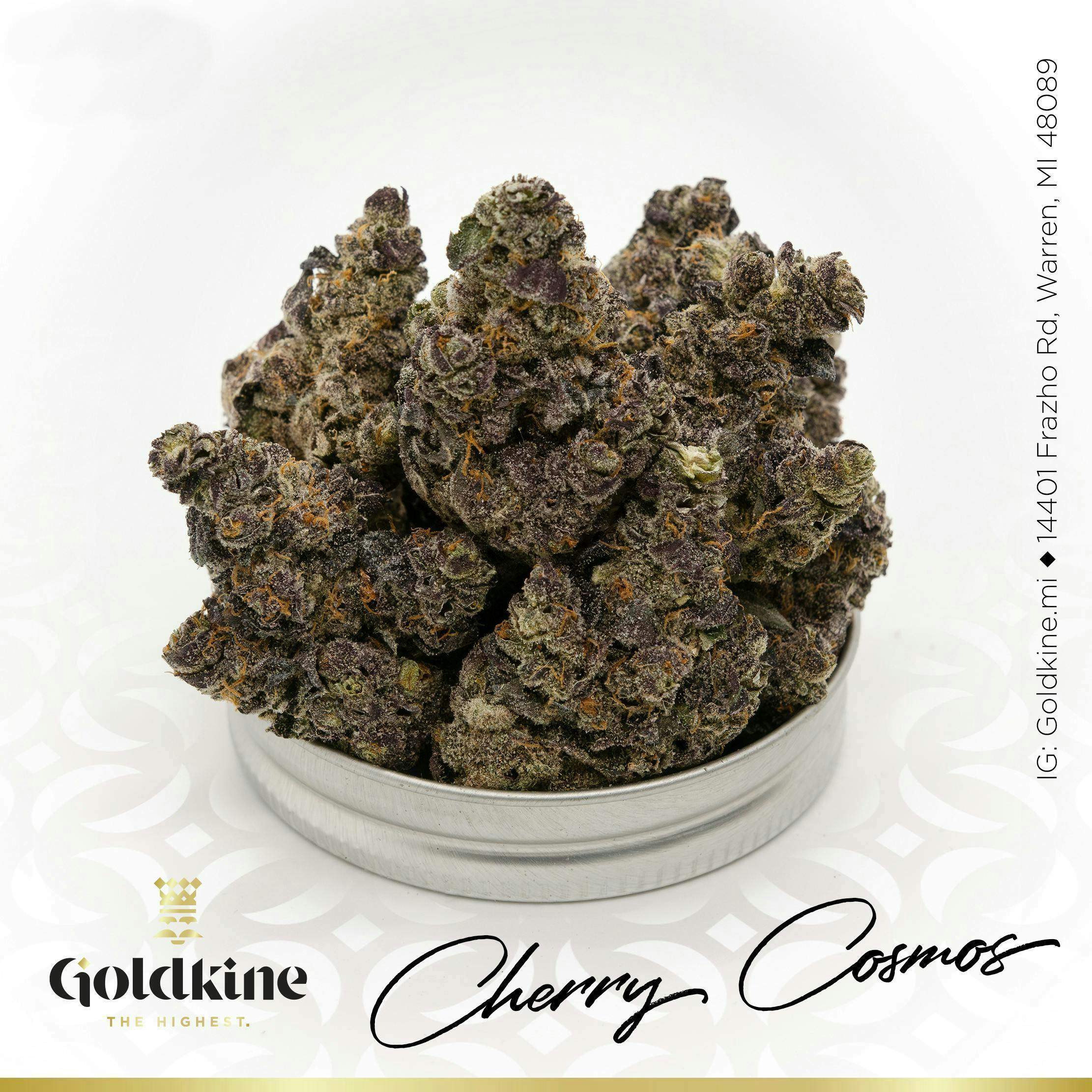 Goldkine - Goldkine Flower "Bigs" | Cherry Cosmos - 1