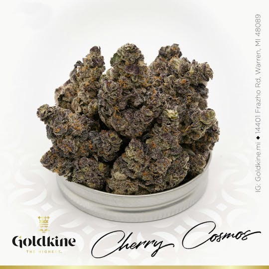 Goldkine - Goldkine Flower "Bigs" | Cherry Cosmos - 1