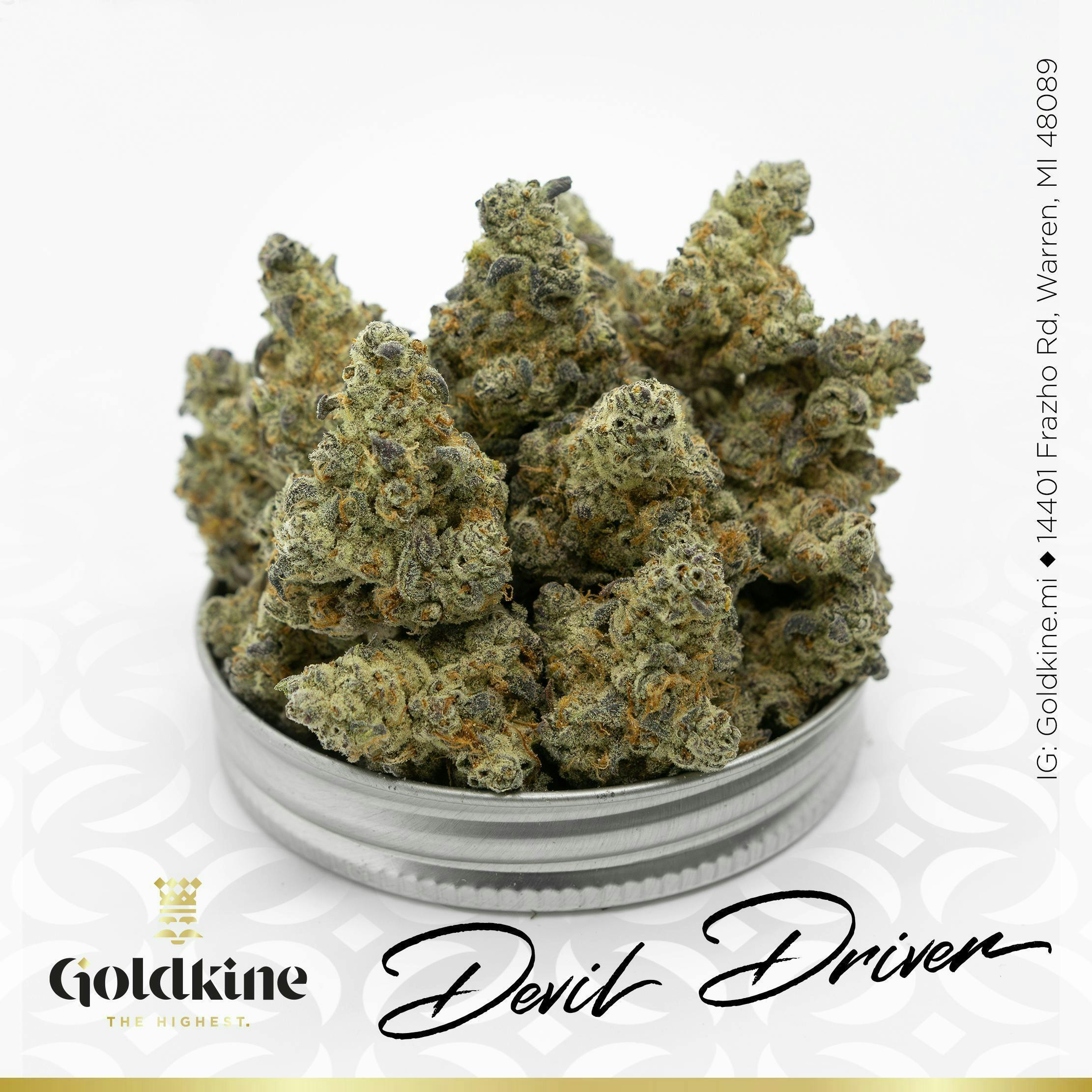 Goldkine - Goldkine Flower "Bigs" | Devil Driver - 1