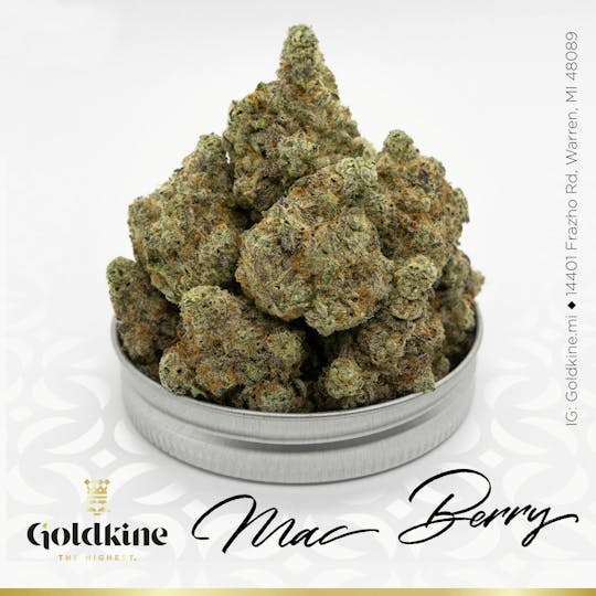 Goldkine - Goldkine Flower "Bigs" | MAC Berry - 1