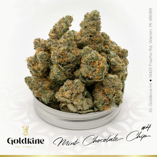 Goldkine - Goldkine Flower "Bigs" | Mint Chocolate Chip - 1