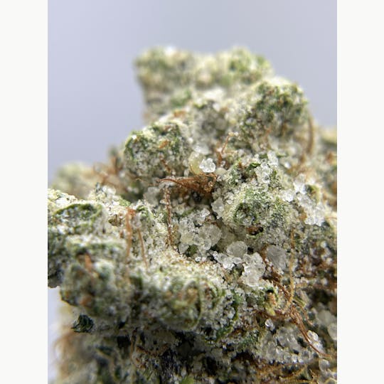 Twenty Two K / 22k - BLACK PEARL - Diamond Coated Indoor - Triangle Kush - 3.5g | 1/8oz - 1
