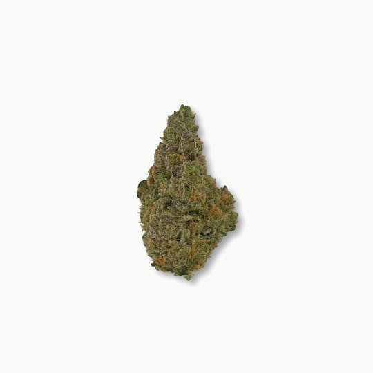Indico - Rainbows at Night - Casco Botanicals - 1