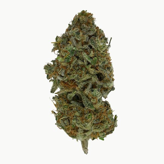 Green Truck - Truck Club Exclusive - Hindu Kush - 28g - 1