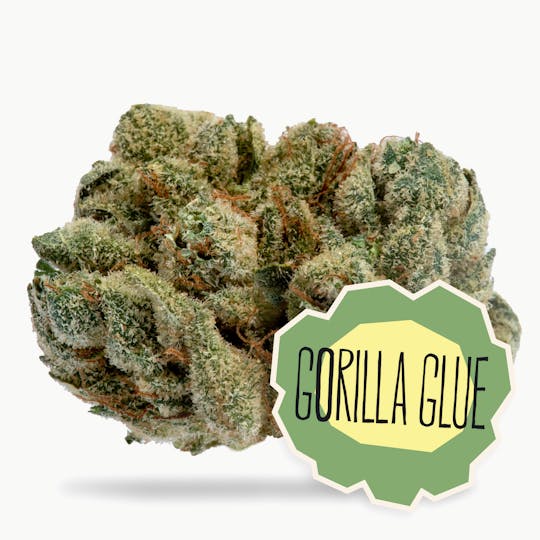 District Cannabis - Gorilla Glue #4 Flower - 1