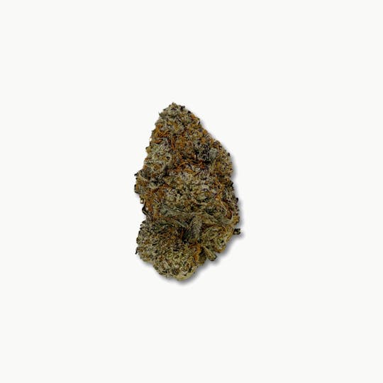 Indico - Triple Chocolate Chip - Willow Creek - 1