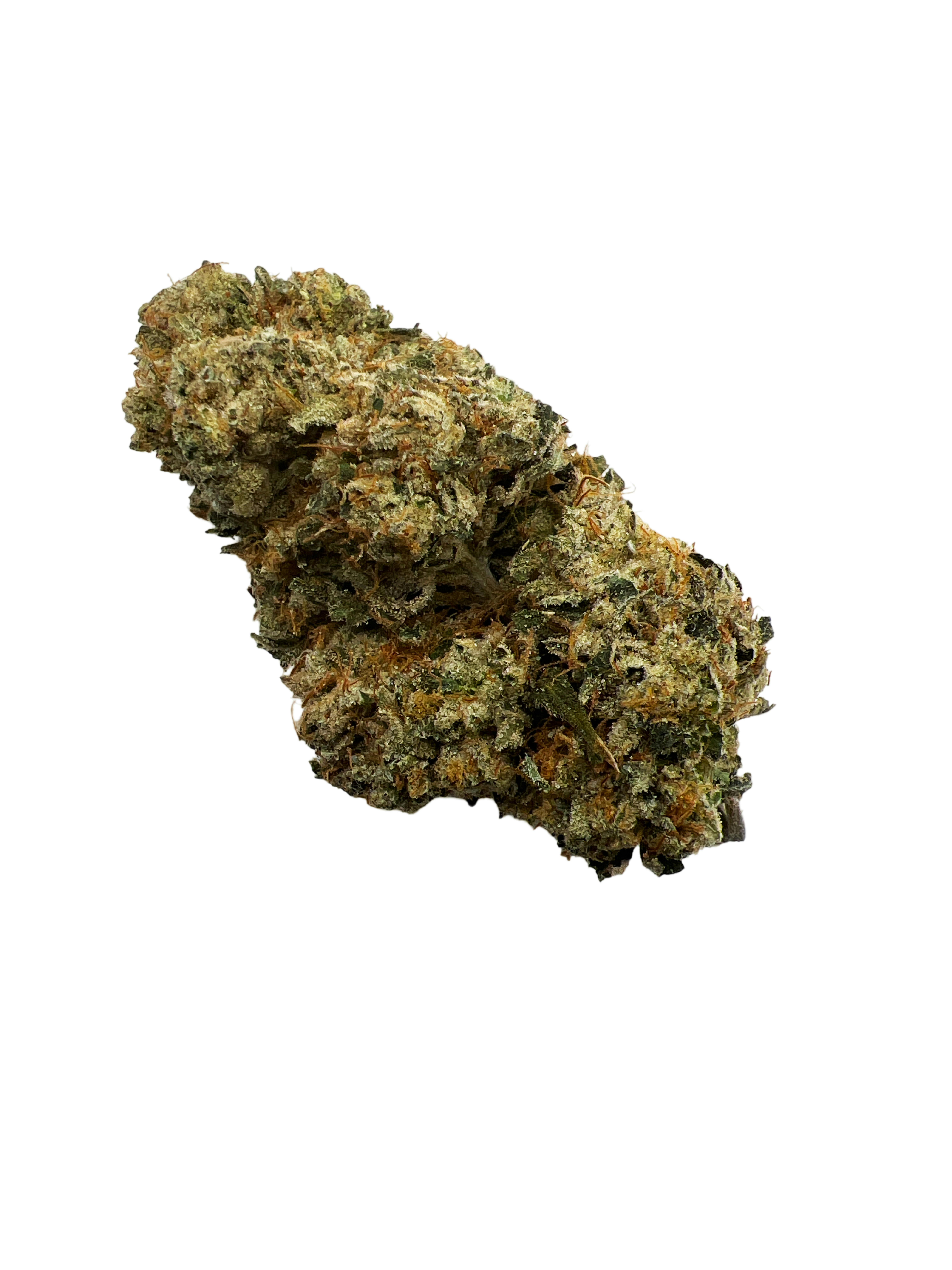 Indico - Motorbreath - Willow Creek - 1