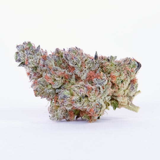 Pure Beauty - Menage | 14.17g Indoor - 1