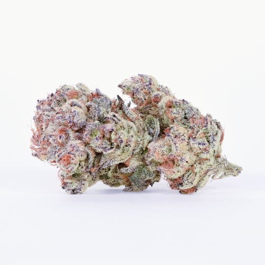 Pure Beauty - Chimera | 14.17g Indoor - 1