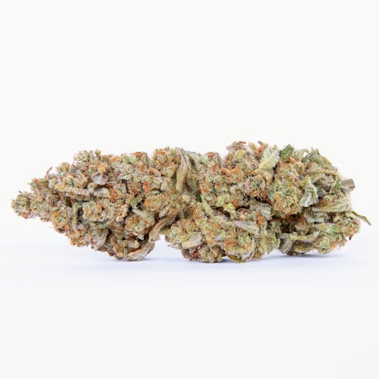 Pure Beauty - Lemon Head | 14.17g Indoor - 1