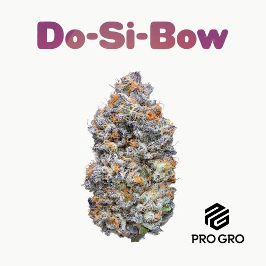 Pro Gro - Dosibow Live Rosin Disposable | .5g - 1