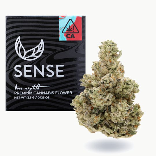 Sense - Motorbreath - 1