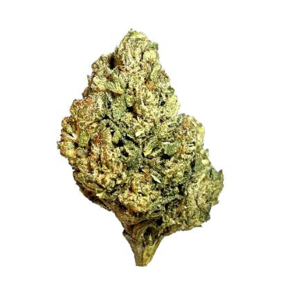 Smoakland - Smoakland Exotix | Biscotti | Big Buds | 14g - 1