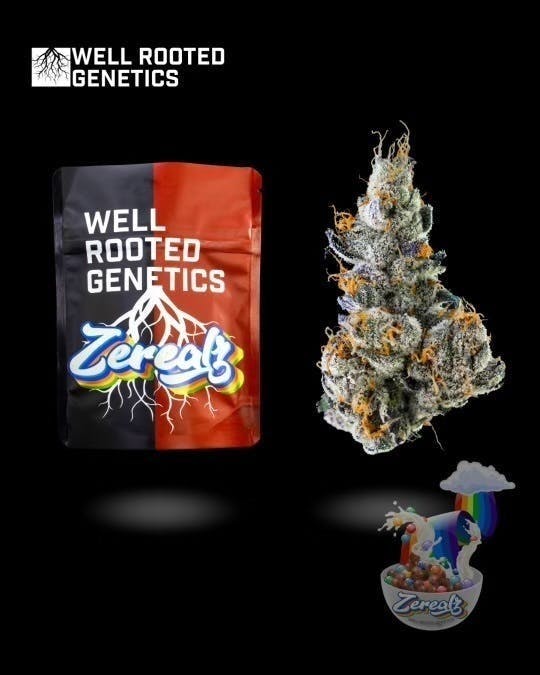 Well Rooted Genetics - Well Rooted Genetics | Zerealz | Big Buds | 3.5g - 1