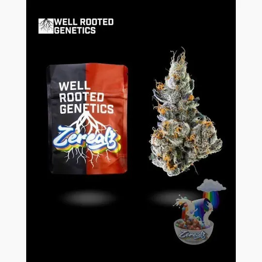 Well Rooted Genetics - Well Rooted Genetics | Zerealz | Big Buds | 3.5g - 1