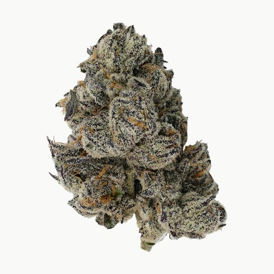 Green Truck - Flower - Pave Runtz - 3.5g - 1