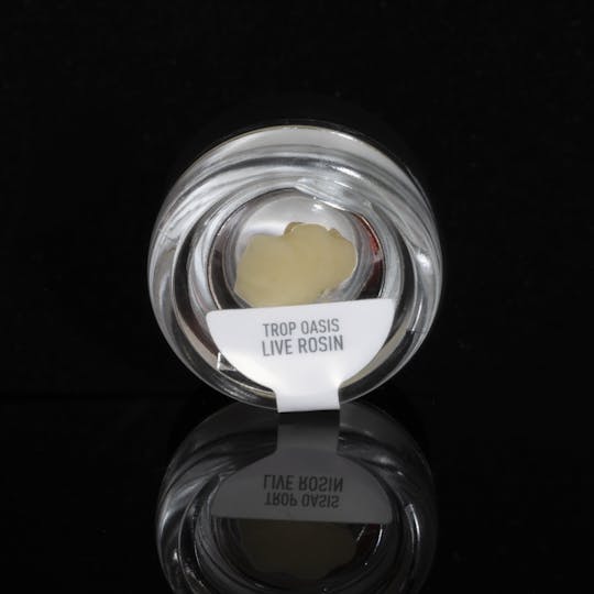 Ahti Farms - Tropical Oasis 70µ | Whipped Live Rosin | 1g - 1