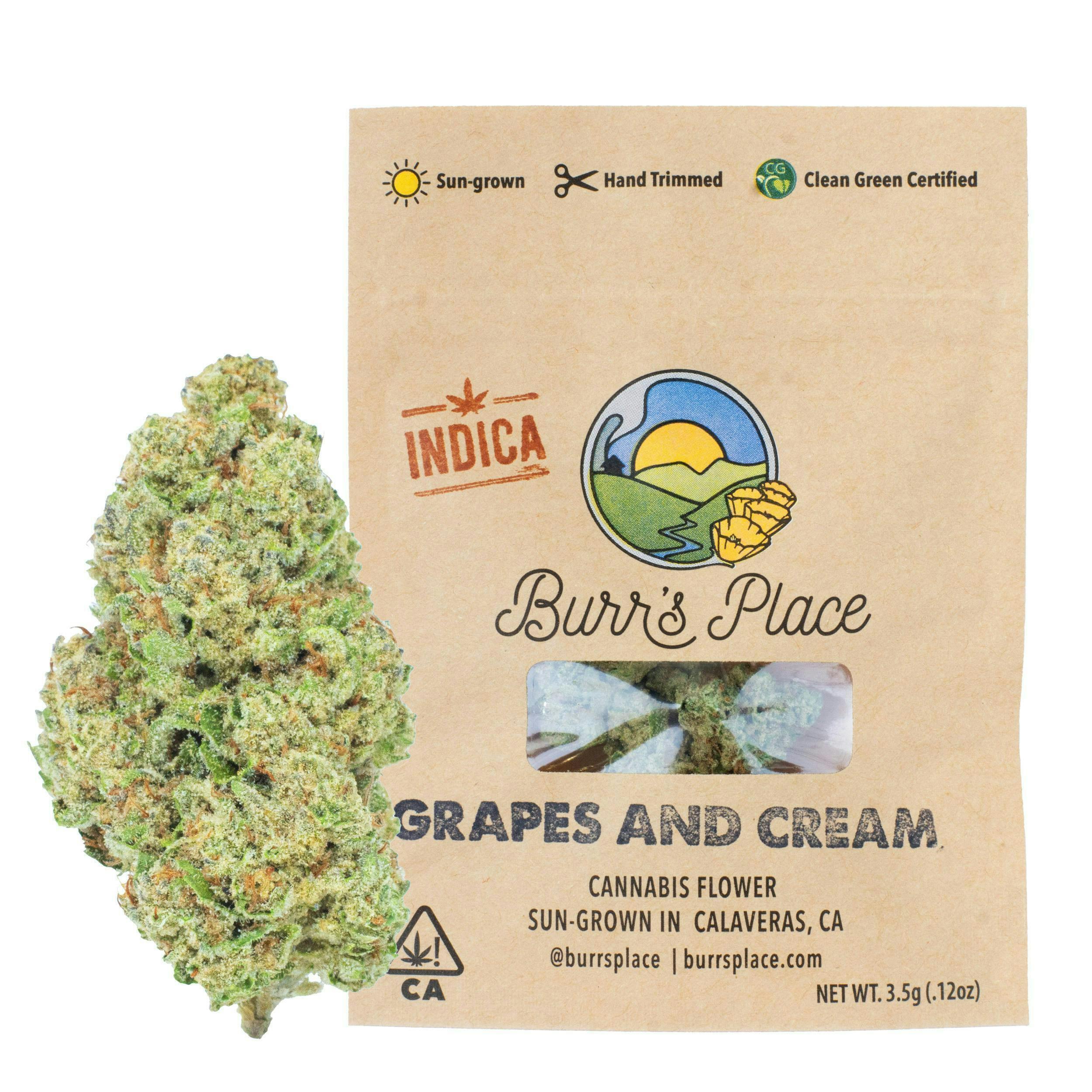 Burr's Place - Burr's Place | Grapes and Cream | Big Buds | 3.5g - 1