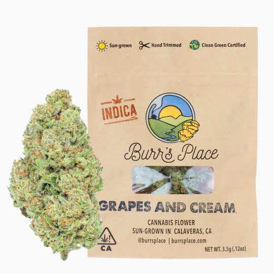 Burr's Place - Burr's Place | Grapes and Cream | Big Buds | 3.5g - 1