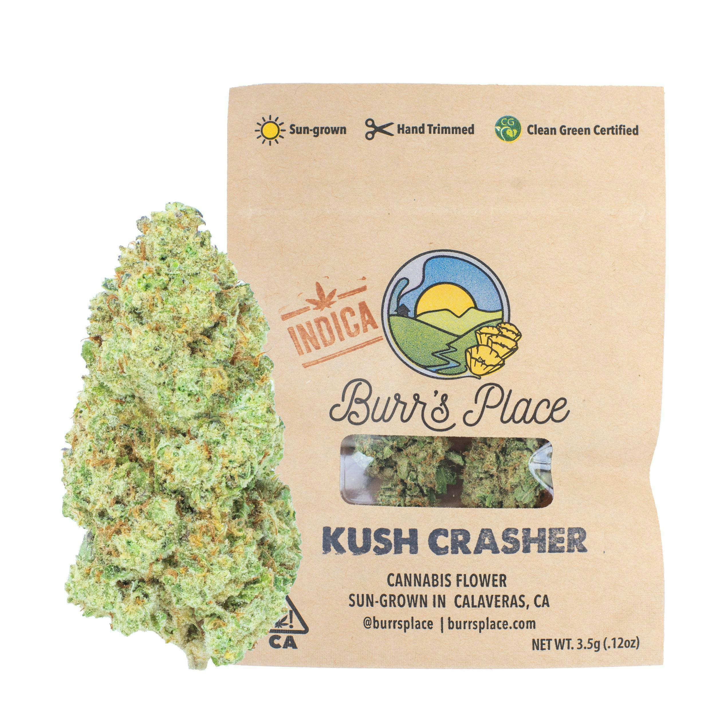 Burr's Place - Burr's Place | Kush Crasher | Big Buds | 3.5g - 1