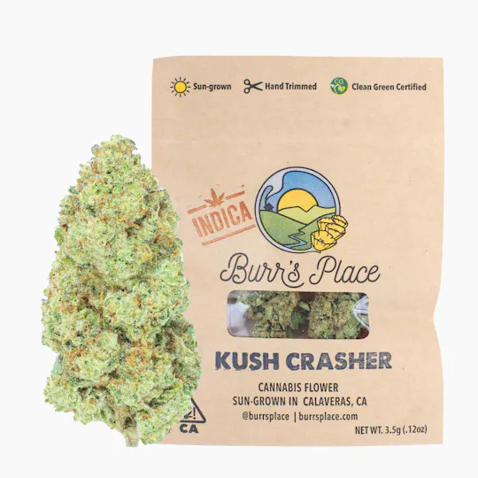 Burr's Place - Burr's Place | Kush Crasher | Big Buds | 3.5g - 1