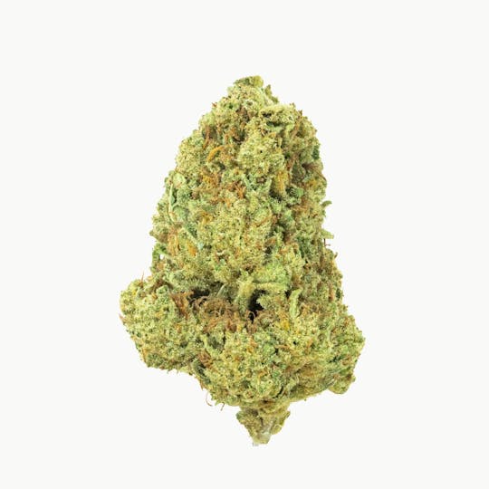 Burr's Place - Burr’s Place | Orange Creampop - 3.5g Bag (Sativa) - 1