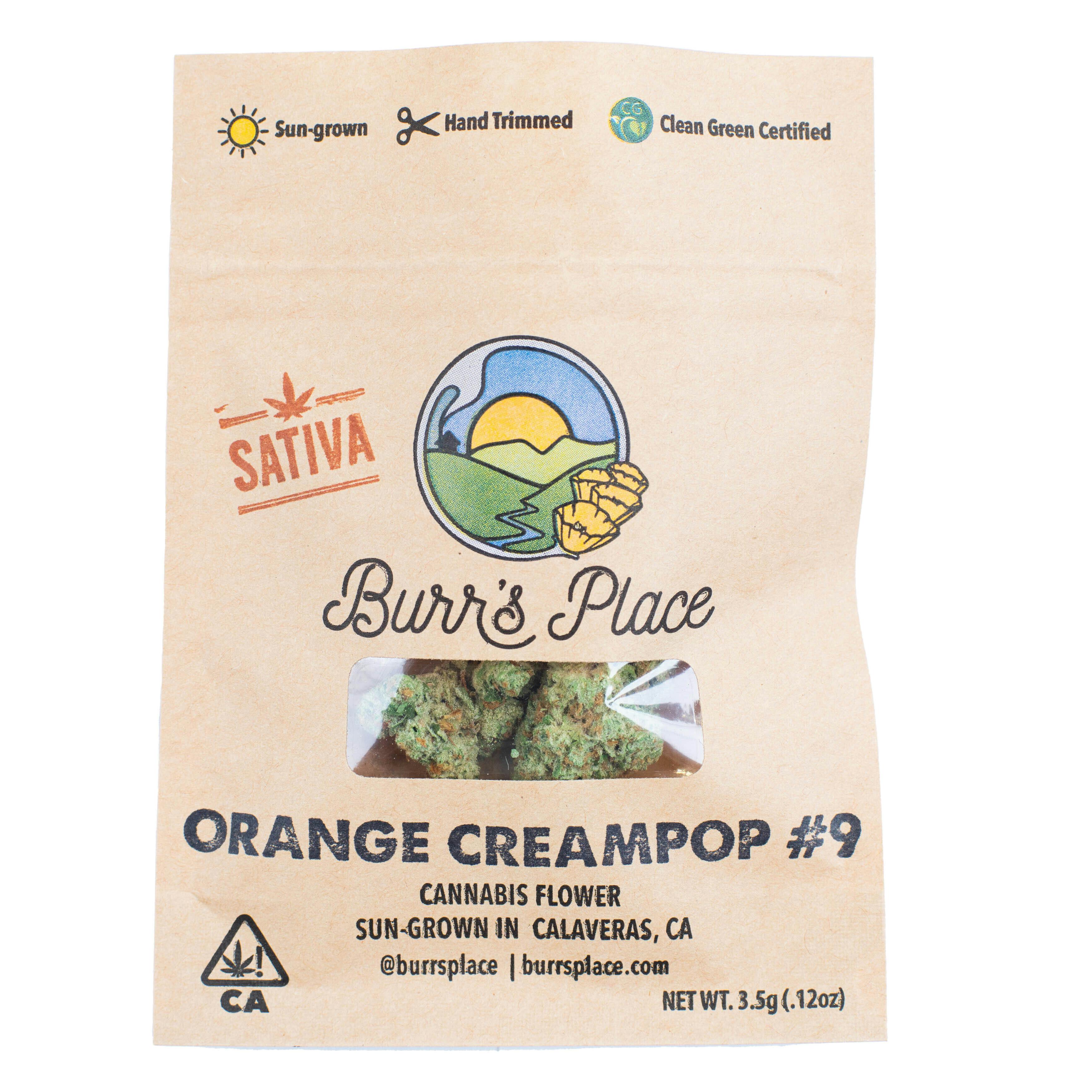 Burr's Place - Burr’s Place | Orange Creampop #9 | Big Buds | 3.5g - 1