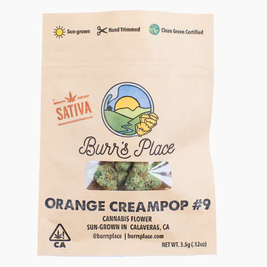 Burr's Place - Burr’s Place | Orange Creampop #9 | Big Buds | 3.5g - 1