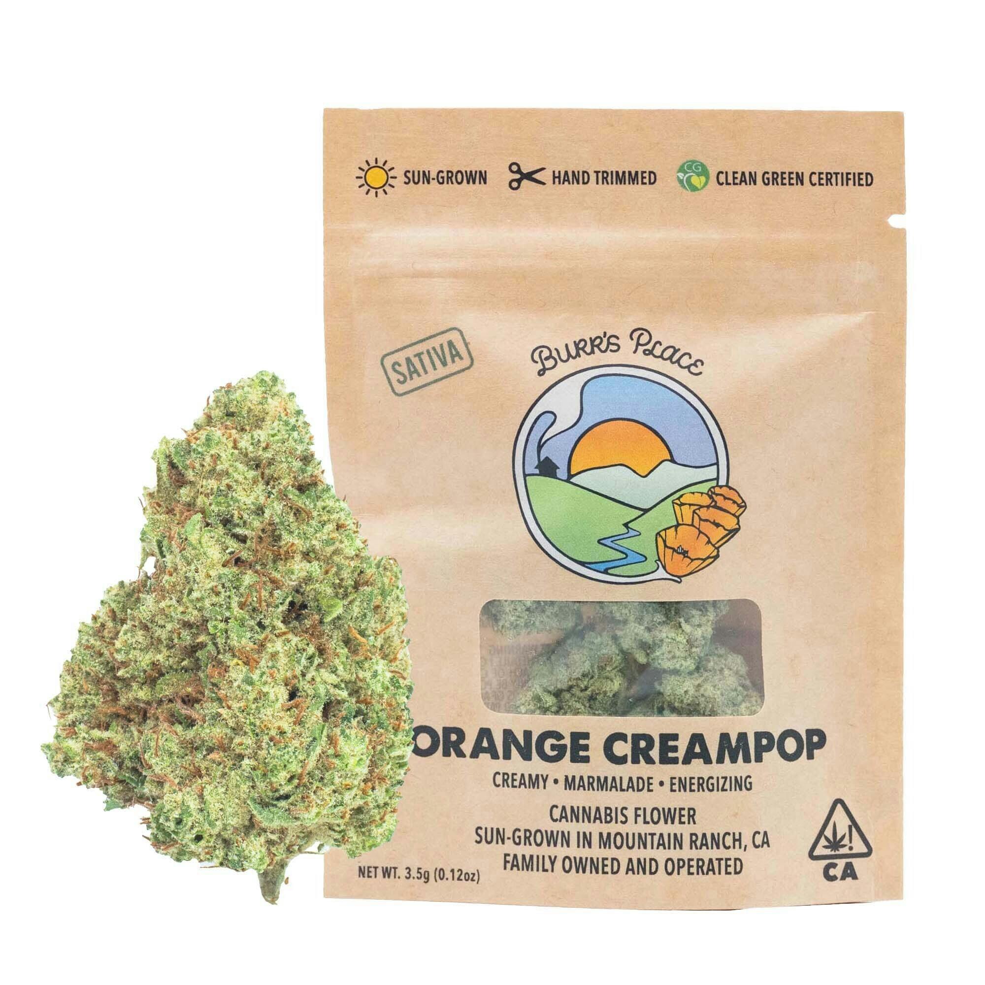 Burr's Place - Orange Creampop | Big Buds | 3.5g - 1