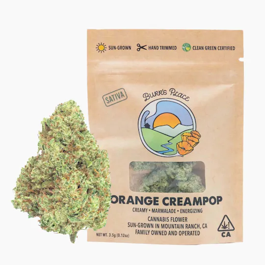 Burr's Place - Orange Creampop | Big Buds | 3.5g - 1
