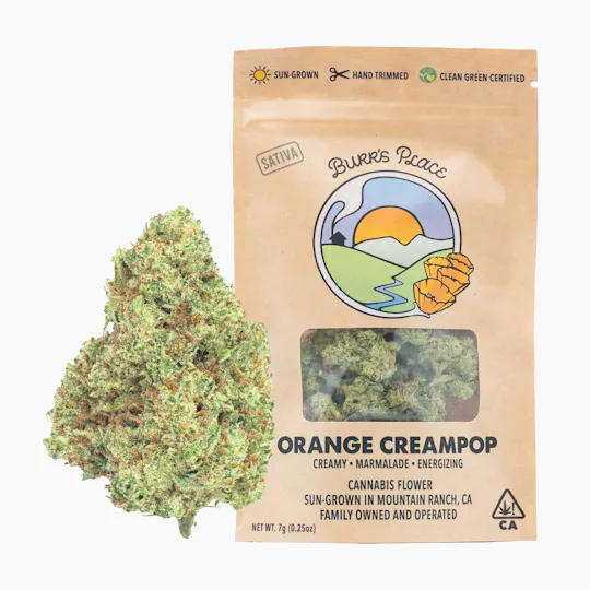 Burr's Place - Orange Creampop | Big Buds | 7g - 1