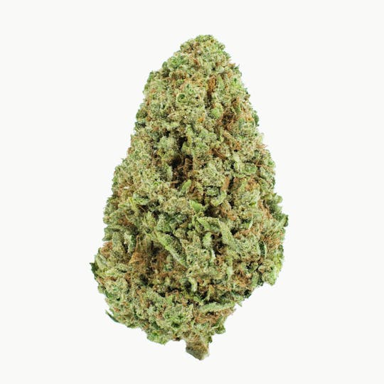 Burr's Place - Burr’s Place | Orange Creampop - 14g Bag (Sativa) - 1