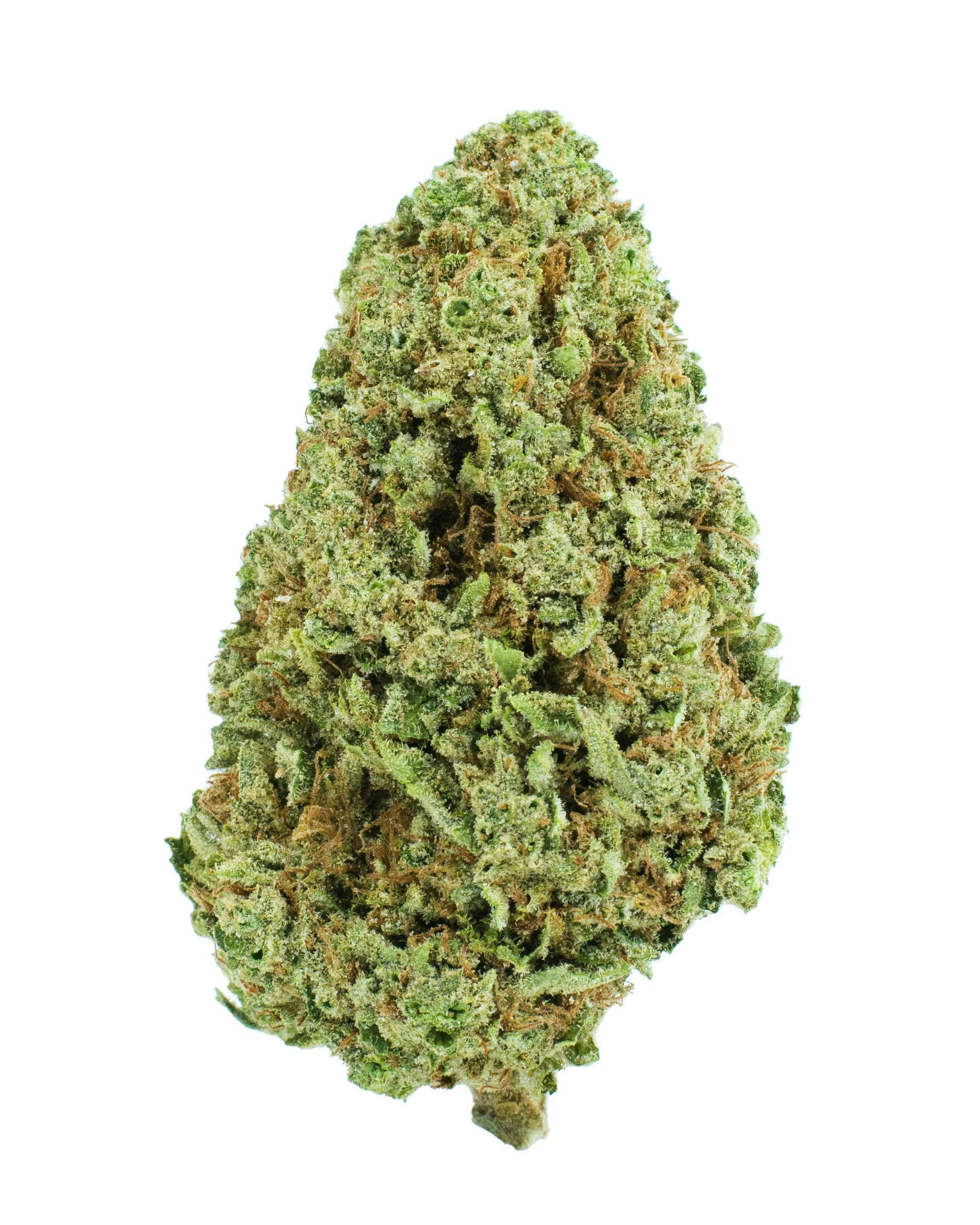 Burr's Place - Burr’s Place | Orange Creampop #9 | Big Buds | 28g - 1