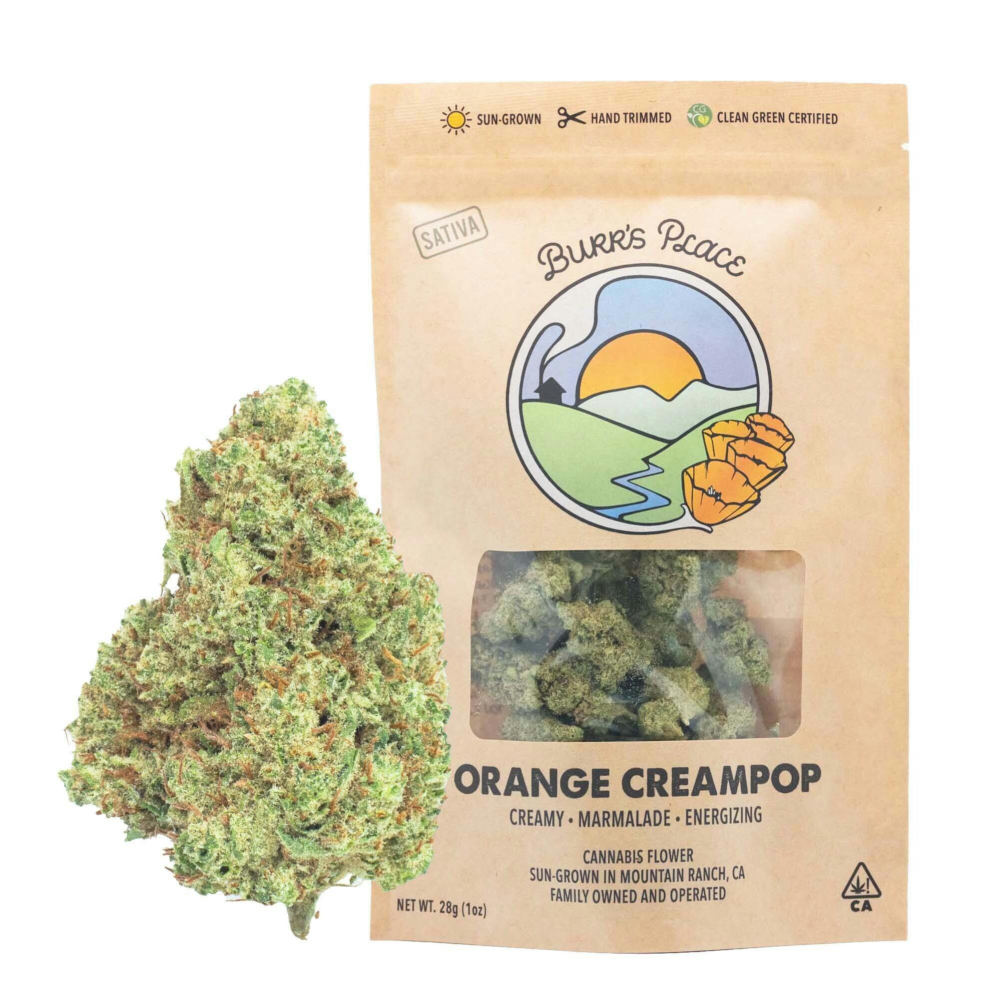 Burr's Place - Orange Creampop | Big Buds | 28g - 1