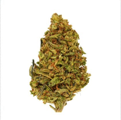 Smoakland - Smoakland Black | Glitter Bomb | Big Buds | 14g - 1