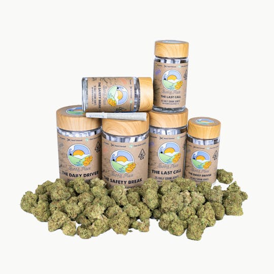 Burr's Place - Burr’s Place | The Daily Driver - 10pk (5g) Sativa Blend Pre-Roll Jar - 1