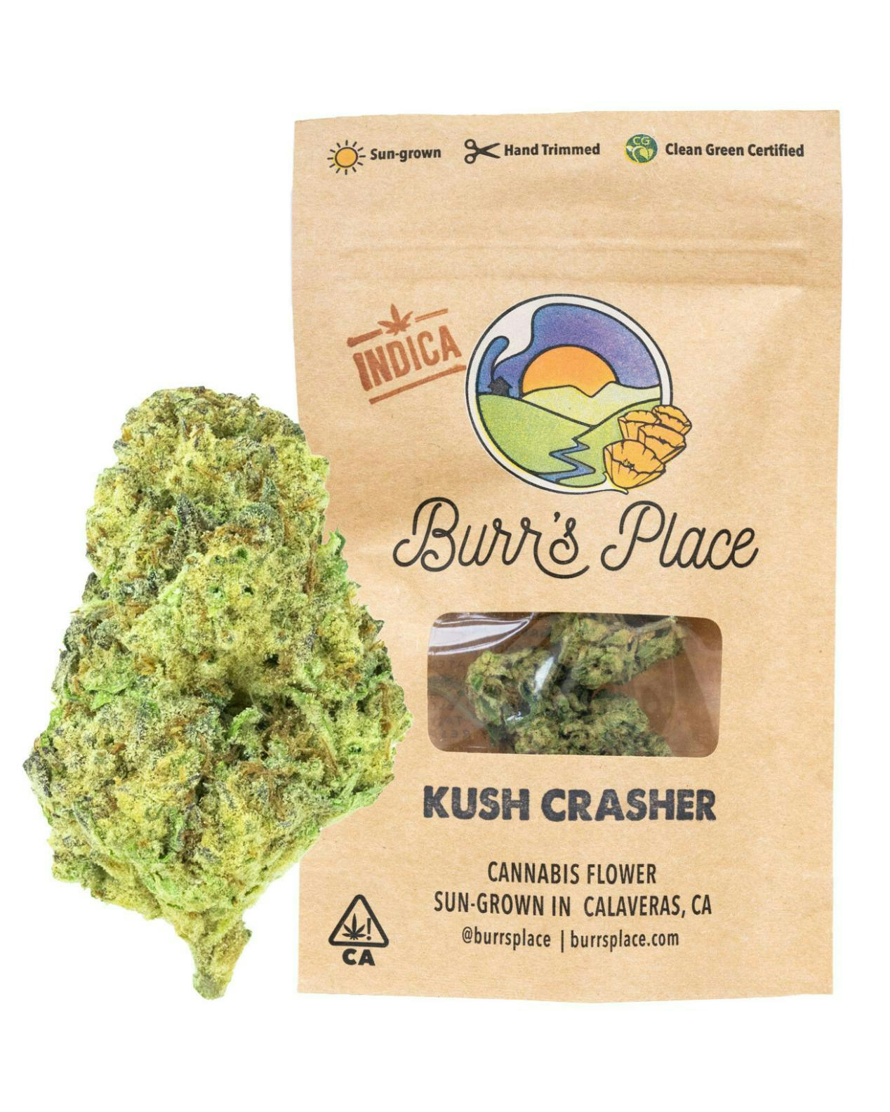 Burr's Place - Burr’s Place | Kush Crasher | Smalls | 3.5g - 1