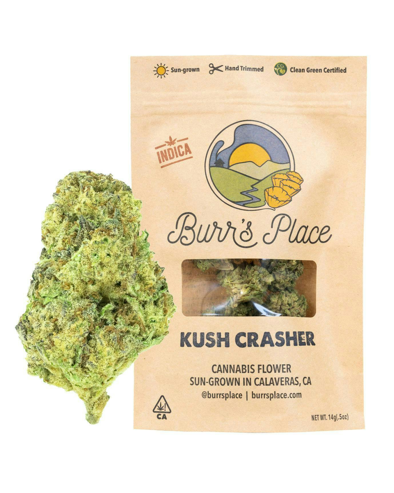 Burr's Place - Burr's Place | Kush Crasher | Smalls | 14g - 1