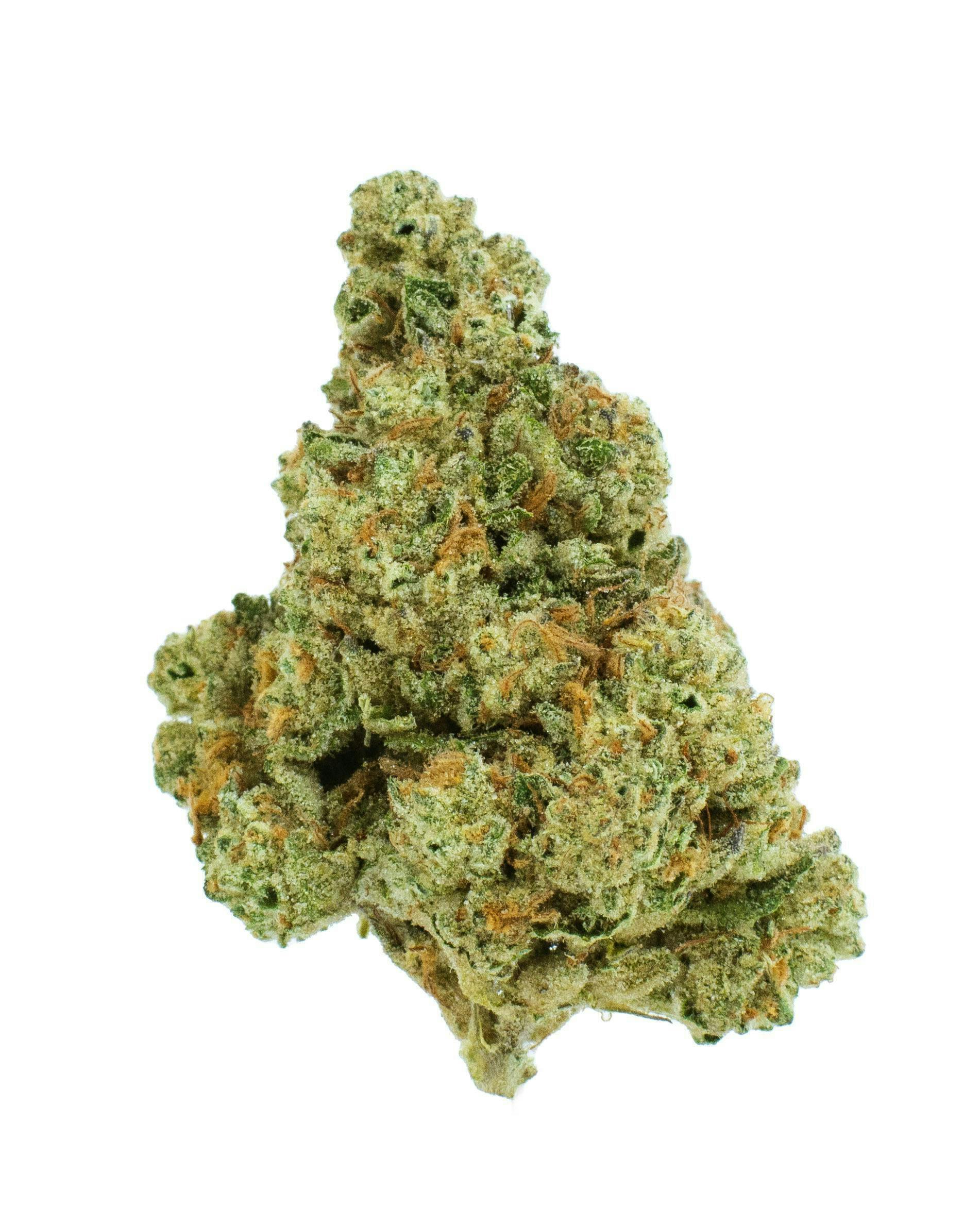 Burr's Place - Burr’s Place | Pink Jelly | Big Buds | 3.5g - 1